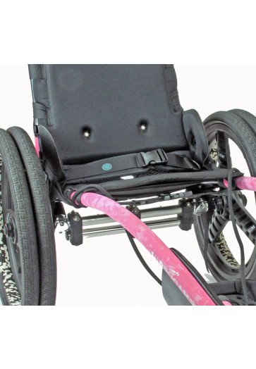 Waist Belt for Hippocampe 