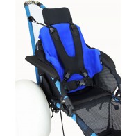 Vacuum Backrest Insert in Hippocampe 