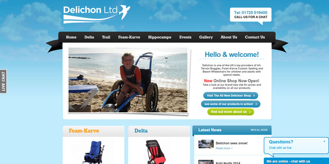 picture of the old delichon website