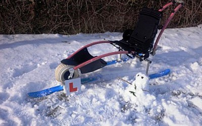 Hippocampe In The Snow