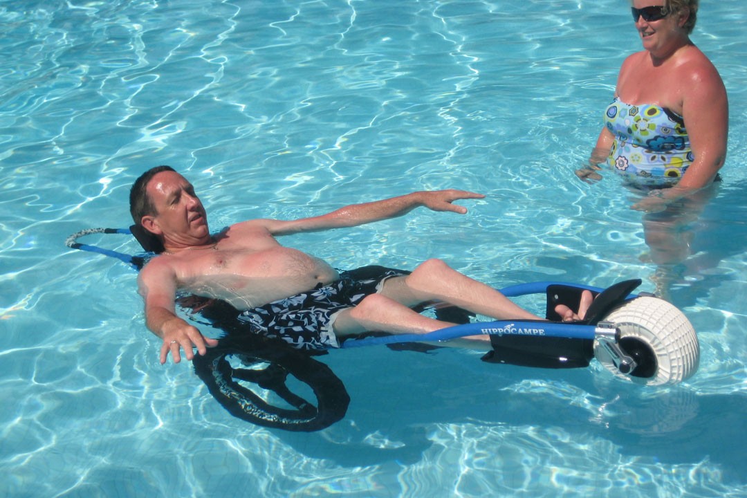 Hippocampe in swimming pool 1