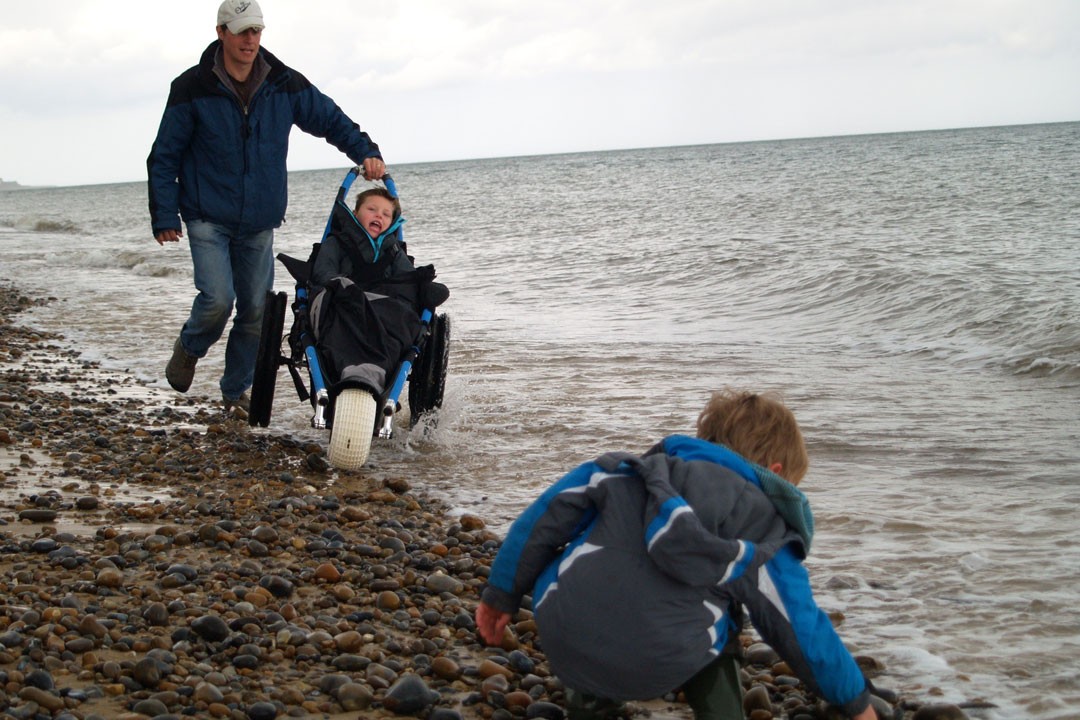 Hippocampe in the waves