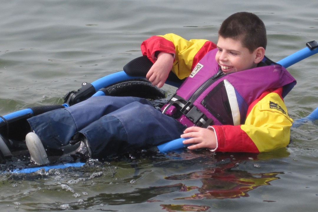 Hippocampe in the water