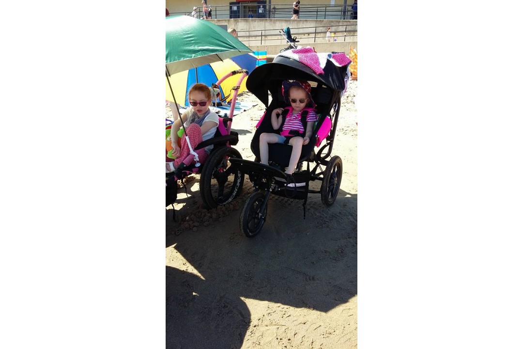 Delta and Hippo on the Beach