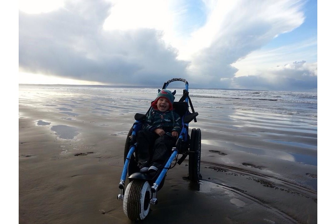 Hippo on beach in Wales