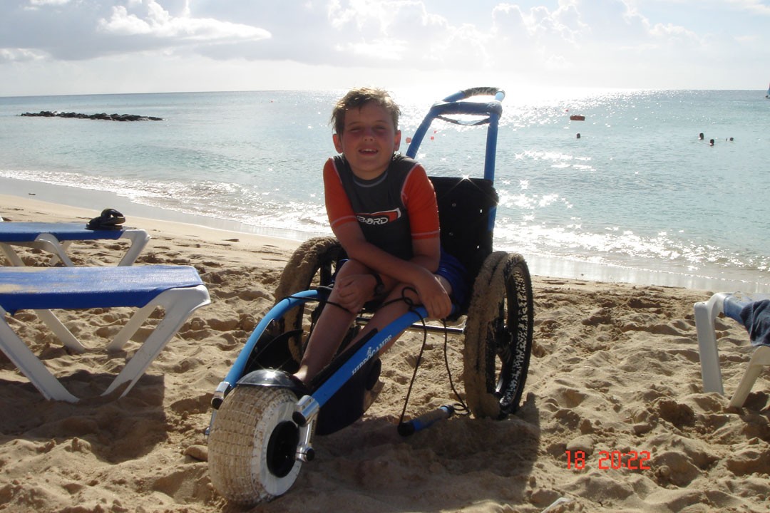 Hippocampe on a sunny seaside