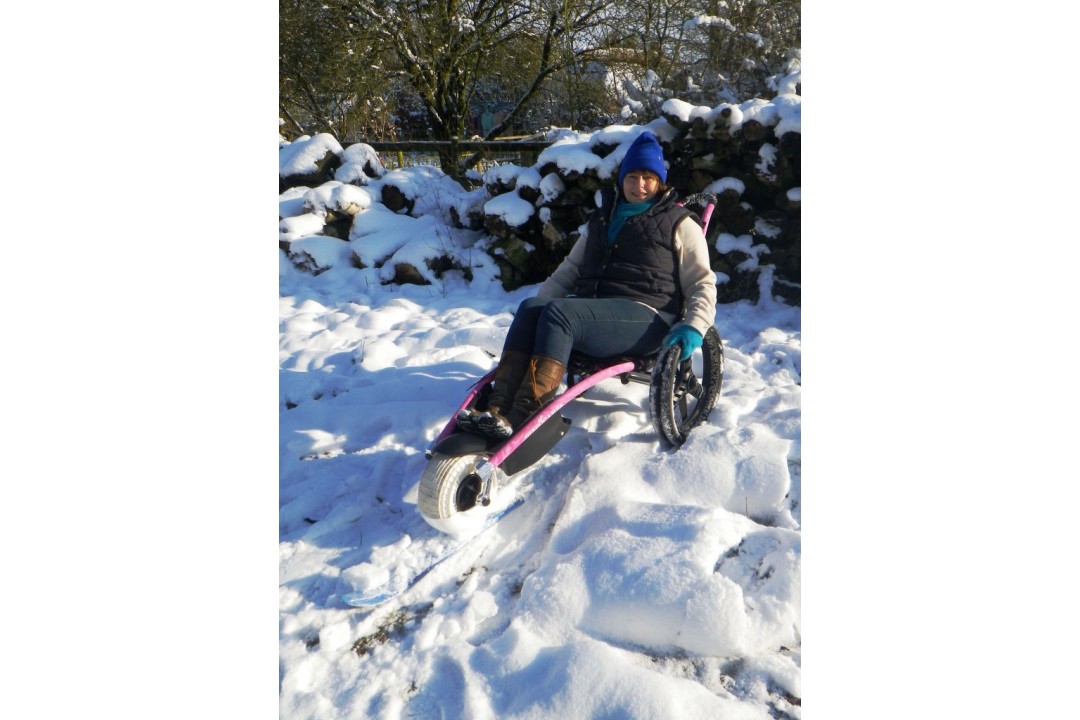 Hippocampe in the snow