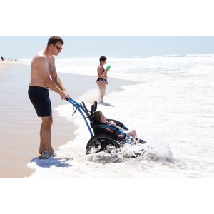 Hippocampe in the surf