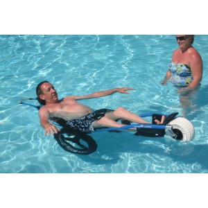 Hippocampe in swimming pool 1