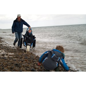 Hippocampe in the waves