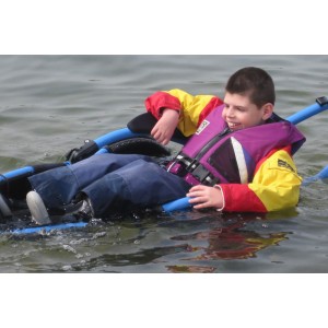 Hippocampe in the water