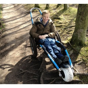 Hippocampe all-terrain in the woods