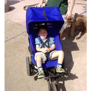 Testing my Delta sun hood