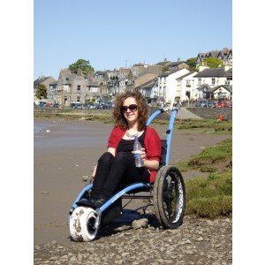 Hippocampe in the mud