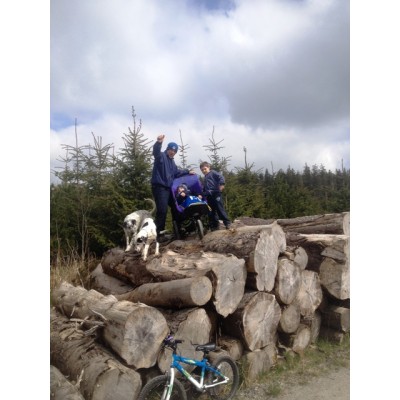 Delta, family, bike, dogs and logs!