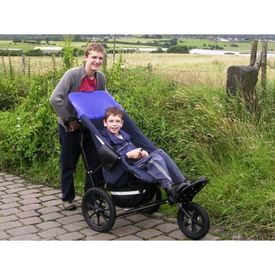 Delta on a brick footpath