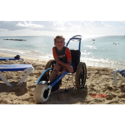 Hippocampe on a sunny seaside