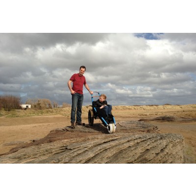 Hippocampe on the rocks